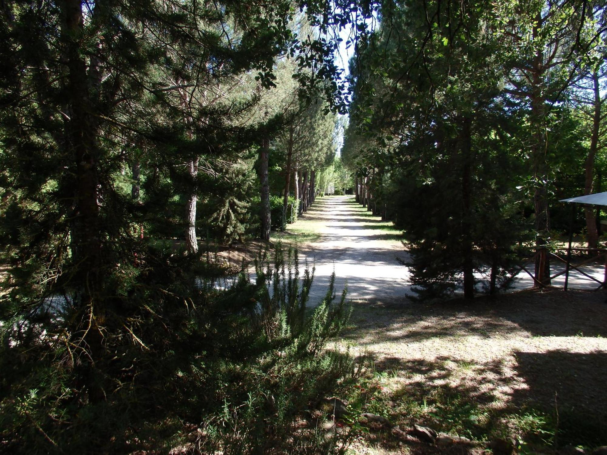 Camping Village La Chiocciola Capannole Екстер'єр фото